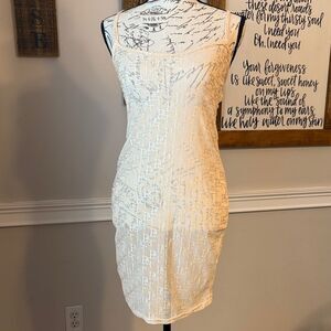 PrettyLittleThing Sheer Chemise/ Nightie